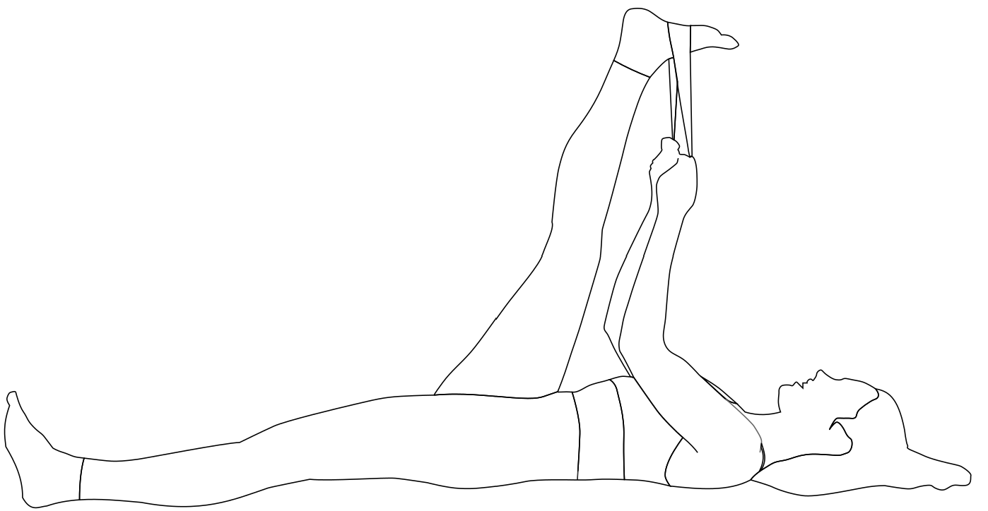 Hamstring Stretch